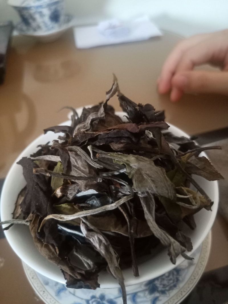 古树白茶