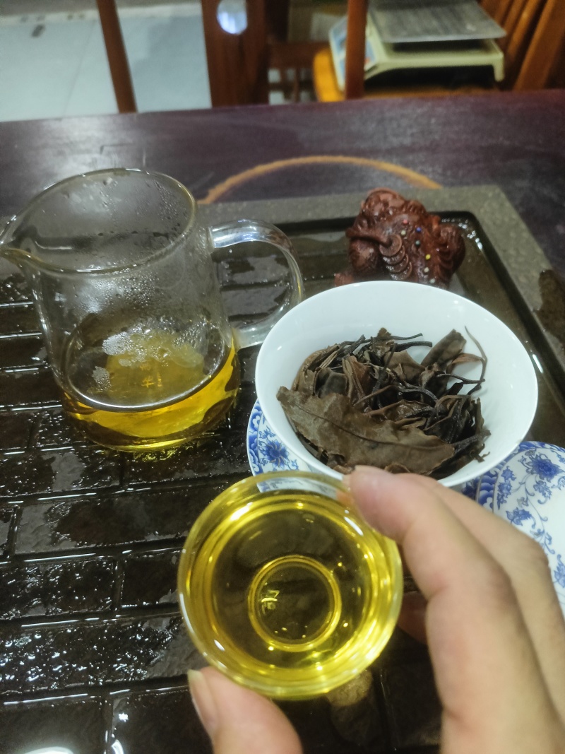古树白茶