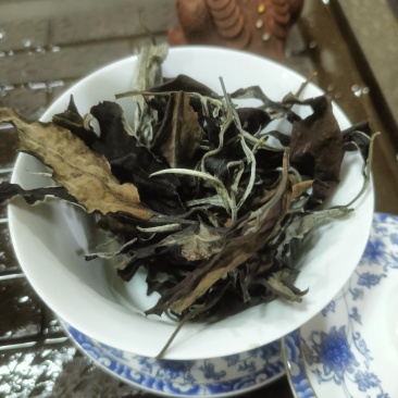 古树白茶