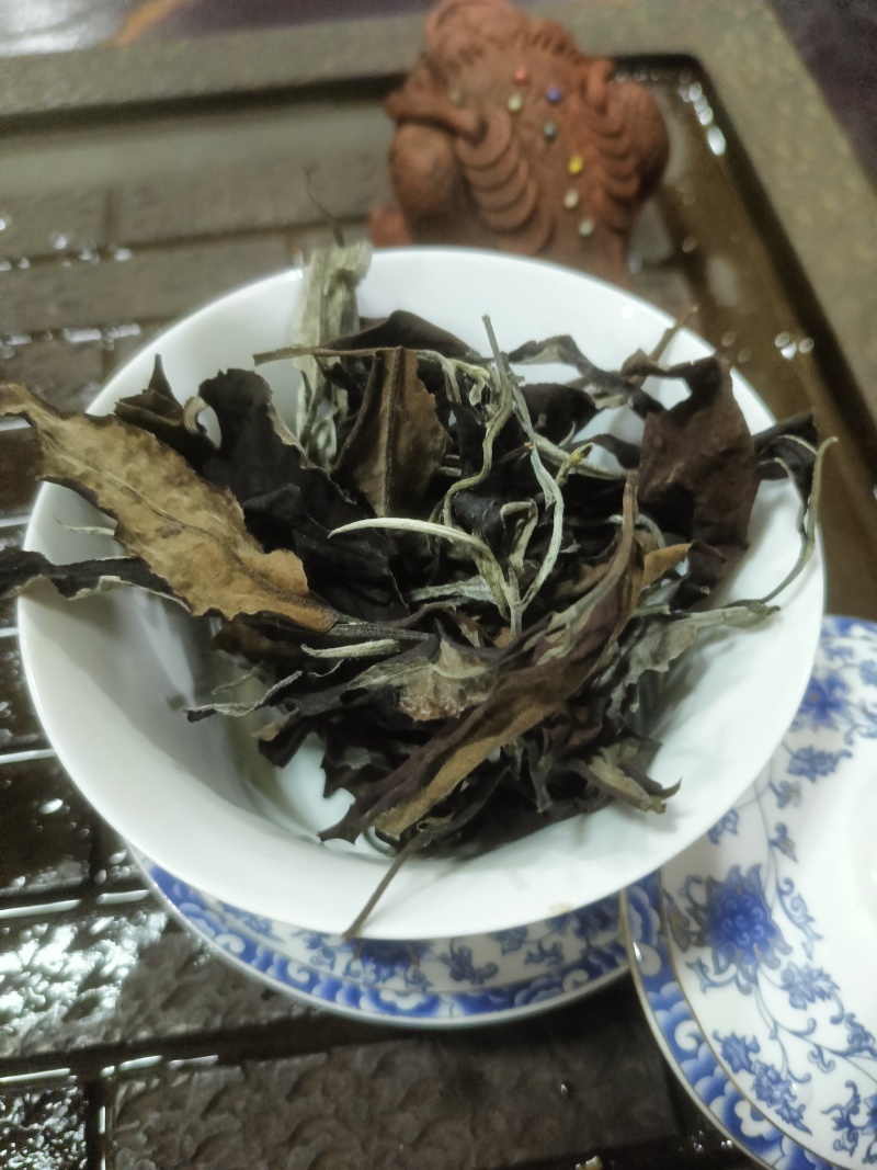 古树白茶