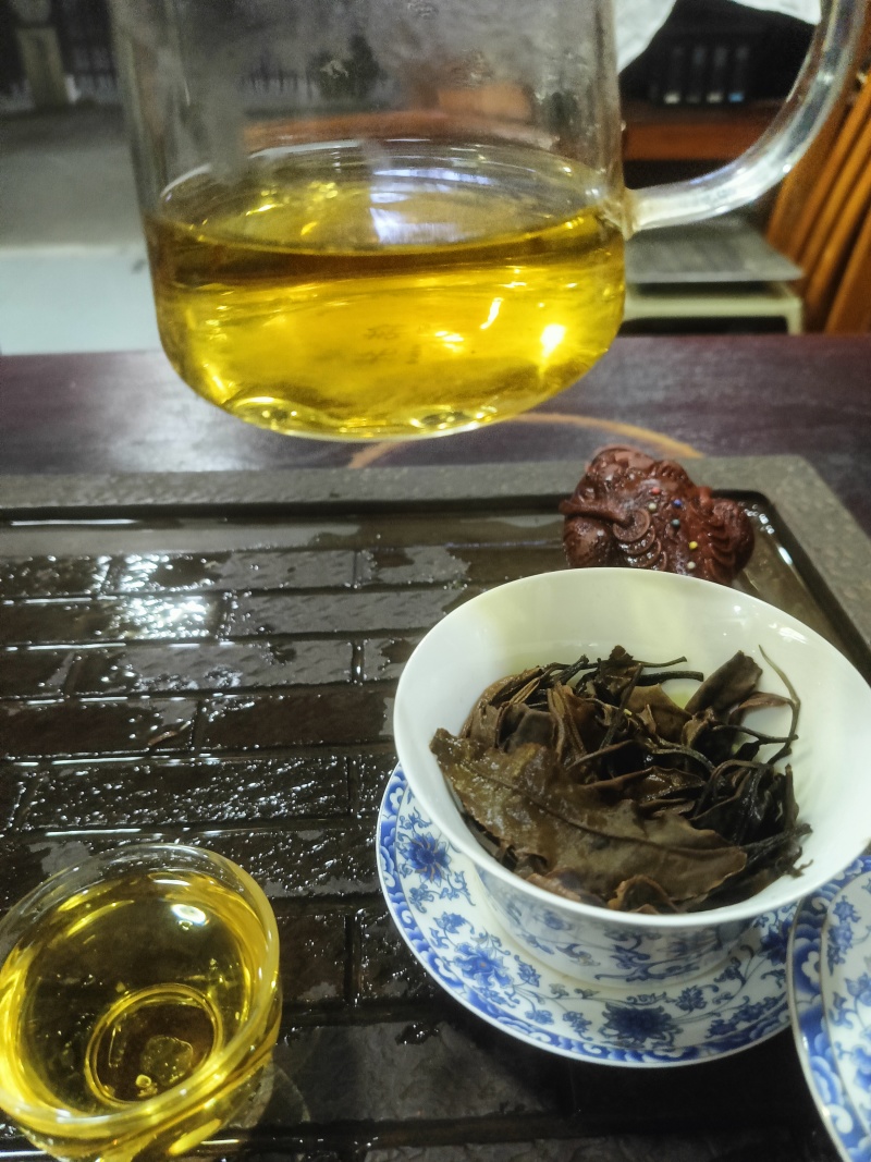 古树白茶