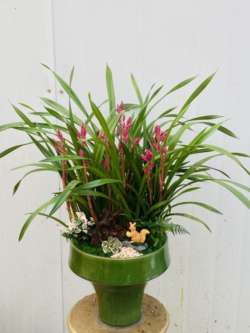 花草