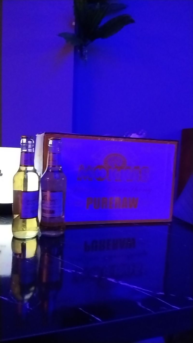 金樽啤酒