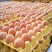 山东红皮鸡蛋新鲜农家鸡蛋无农药商超电商一件代发