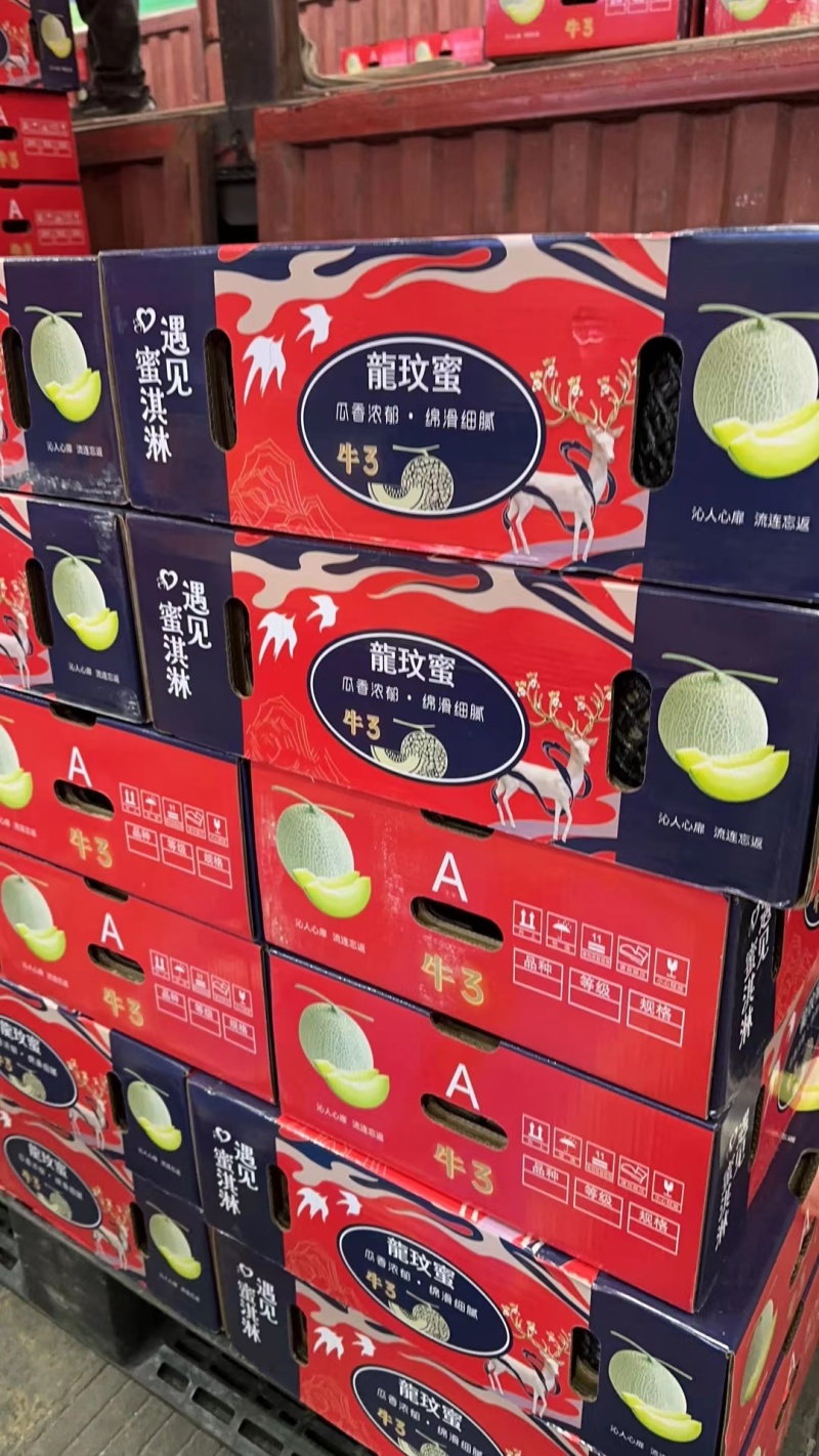 网纹瓜……大量有货……量大优惠