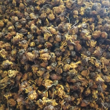 桑叶，干桑叶干，桑叶茶，野生菊花