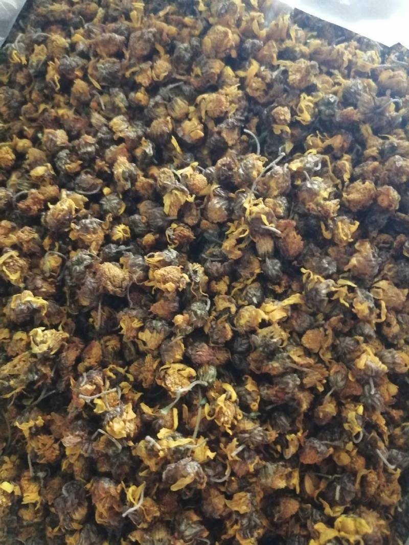 桑叶，干桑叶干，桑叶茶，野生菊花