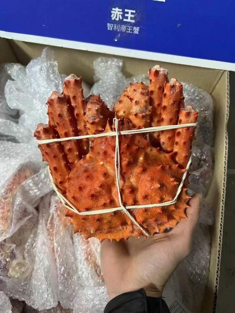 帝王蟹