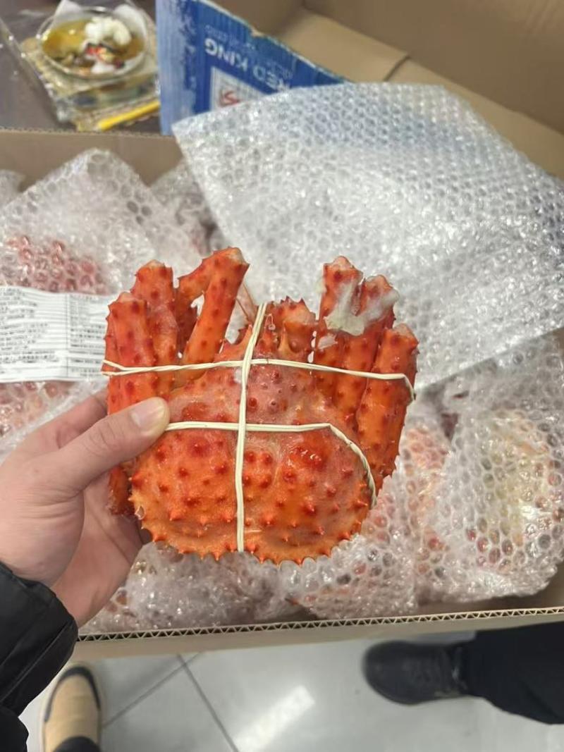 帝王蟹