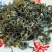 绿茶