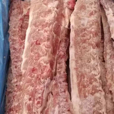 进口猪龙骨