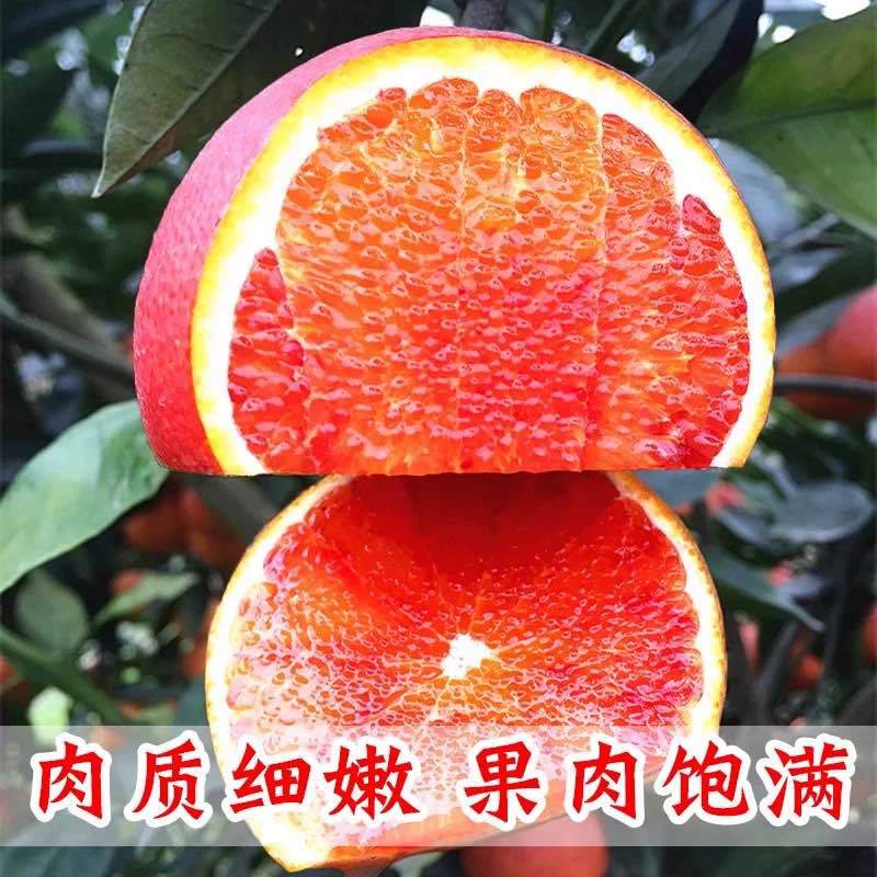 四川塔罗科血橙一件代发供应商超电商皮薄好货自然成熟