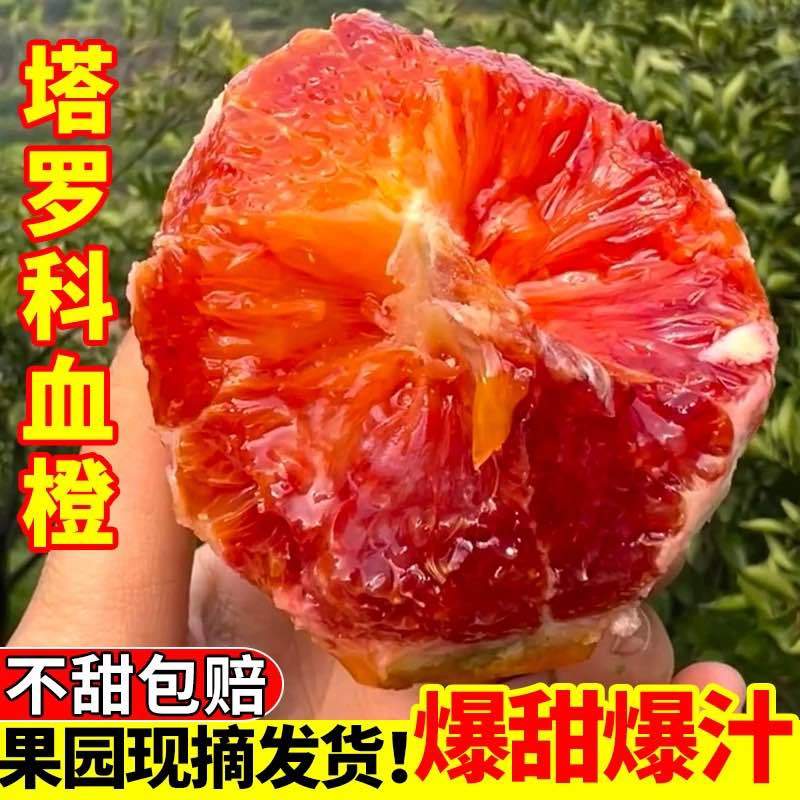 四川塔罗科血橙一件代发供应商超电商皮薄好货自然成熟