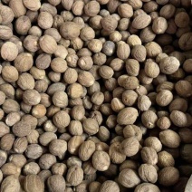 特肉蔻中大个头重手重油有极个别虫眼***********