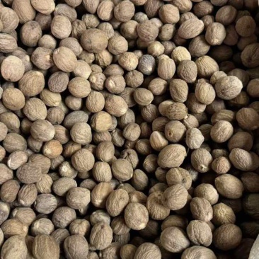 特肉蔻中大个头重手重油有极个别虫眼***********