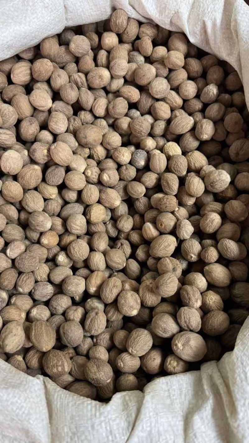 特肉蔻中大个头重手重油有极个别虫眼***********