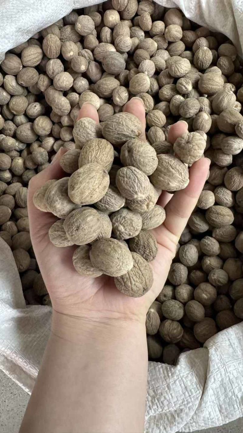 特肉蔻中大个头重手重油有极个别虫眼***********