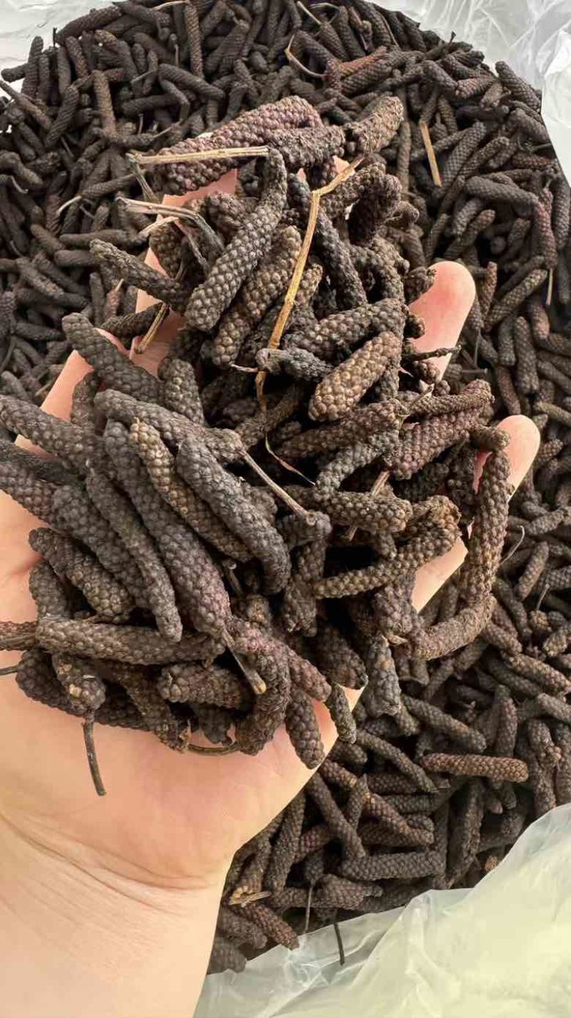 水洗大毕卜足干货颜色个别偏红性价比高***********