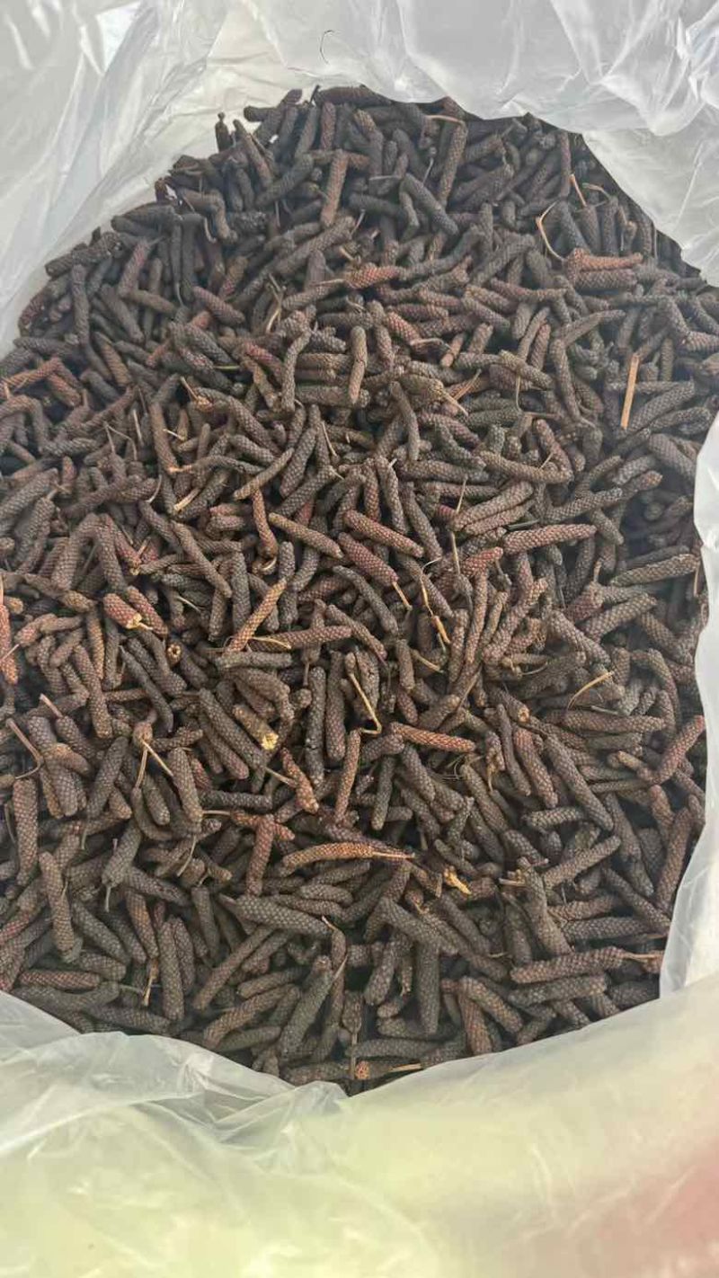 水洗大毕卜足干货颜色个别偏红性价比高***********