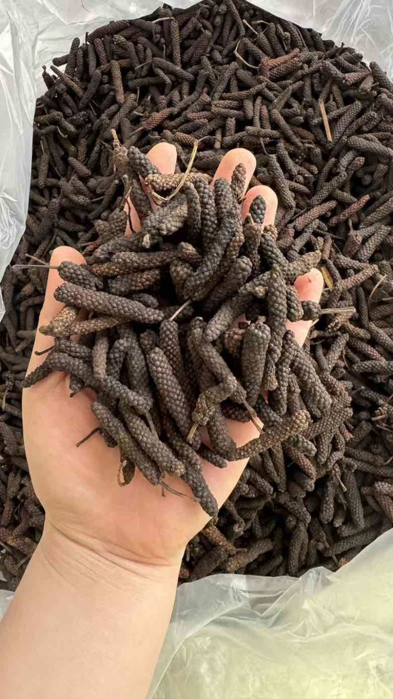 水洗大毕卜足干货颜色个别偏红性价比高***********