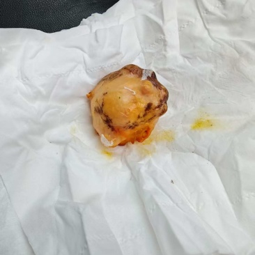 鸡宝出购