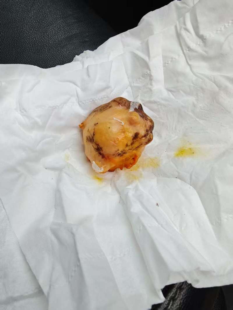 鸡宝出购