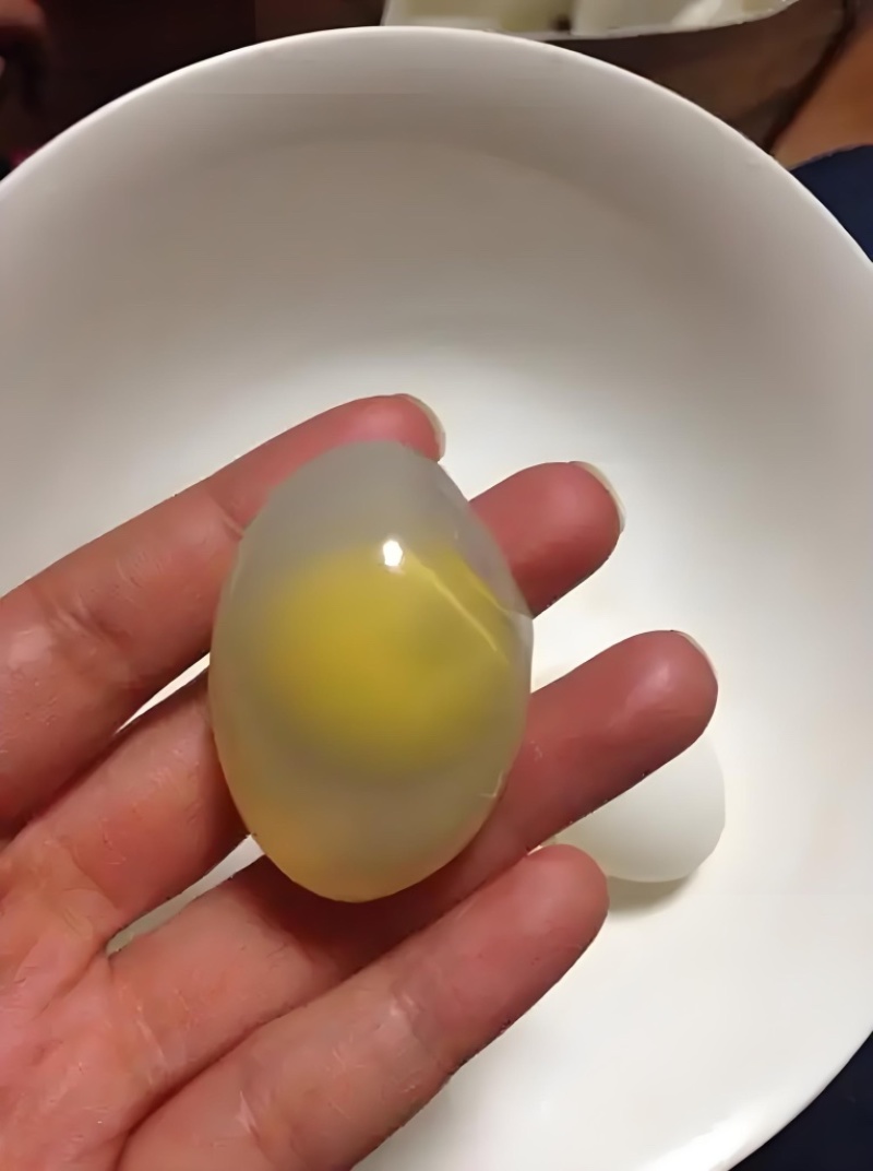鸽子蛋