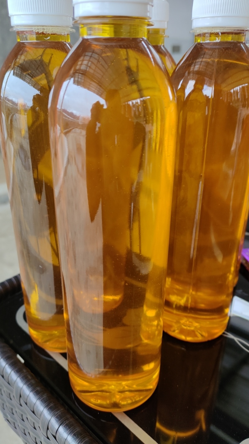 山茶油农家自榨广西特产***山茶油特级冷榨正宗野生现榨土茶油