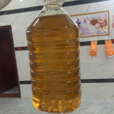 正宗山茶油一级压榨食用油茶籽油正品家用炒菜烹饪健康桶装植物油