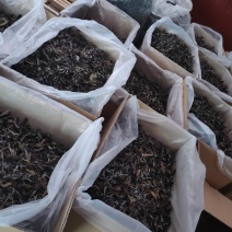 古树普洱白茶