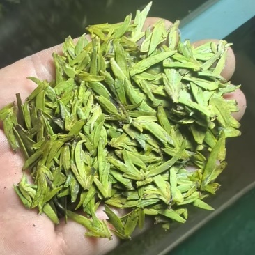 我们浙江回山茶叶