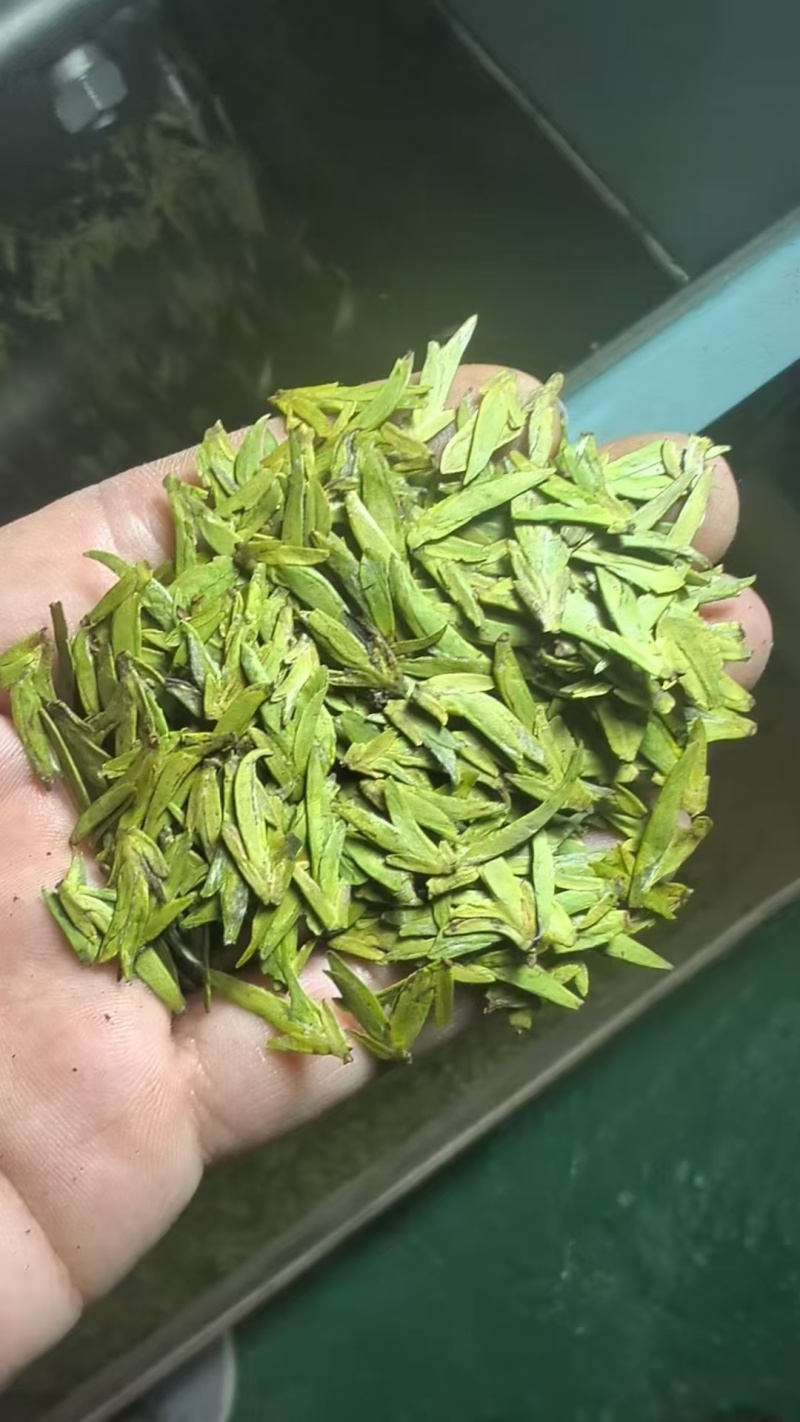 我们浙江回山茶叶