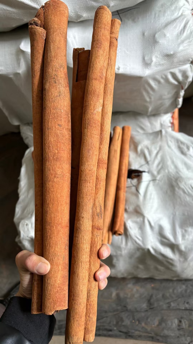 香味浓郁，紫油桂