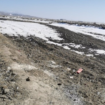 出租5000亩左右条田浇水地，可以滴，有意向的可现场考察