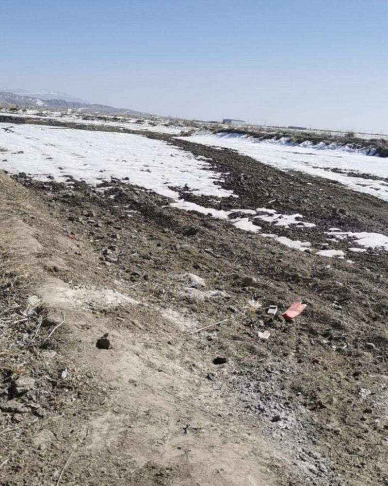 出租5000亩左右条田浇水地，可以滴，有意向的可现场考察