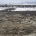 出租5000亩左右条田浇水地，可以滴，有意向的可现场考察