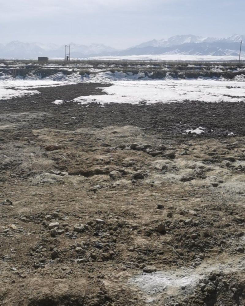 出租5000亩左右条田浇水地，可以滴，有意向的可现场考察