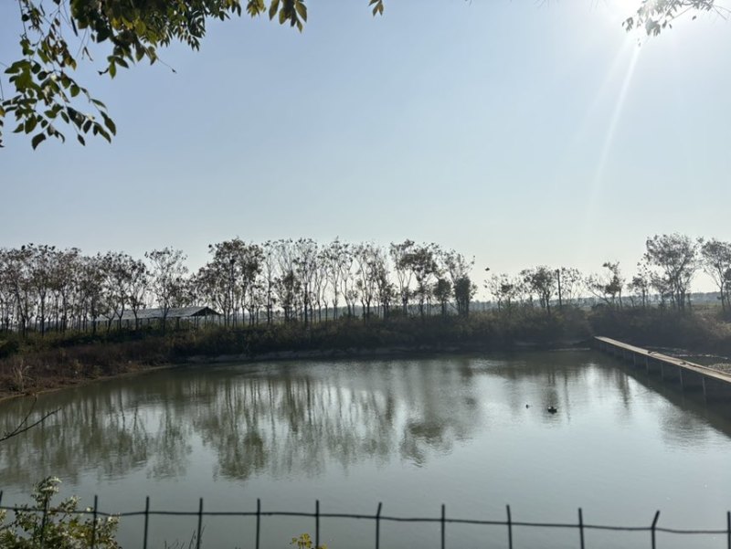 襄阳鱼塘出租，合同面积66亩，实际可用80亩