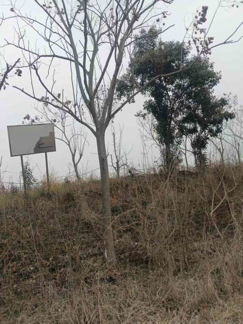 襄阳鱼塘出租，合同面积66亩，实际可用80亩