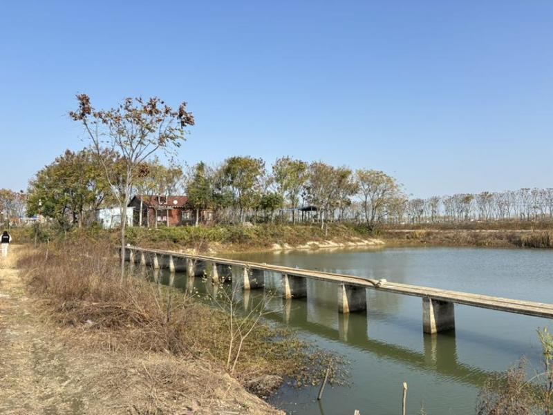 襄阳鱼塘出租，合同面积66亩，实际可用80亩