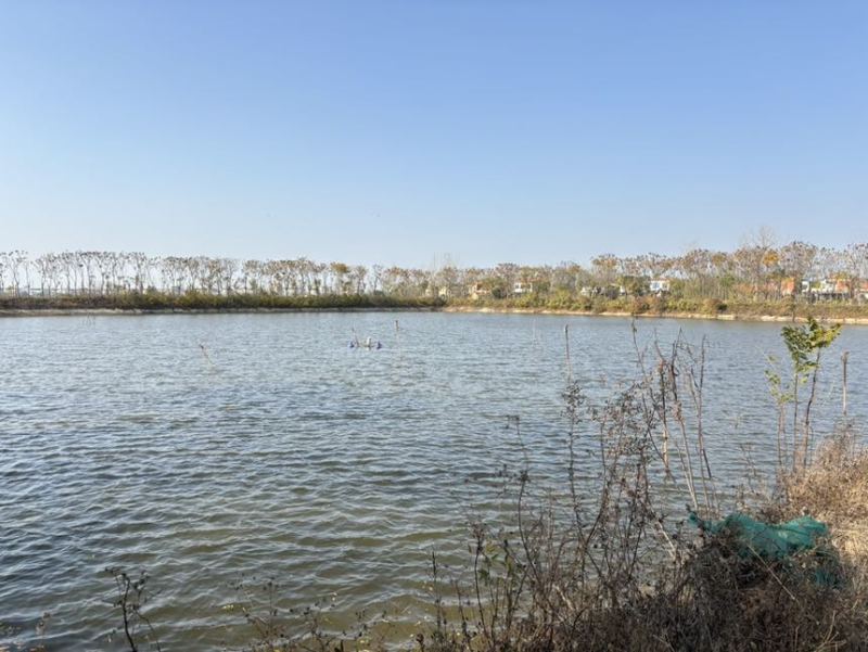 襄阳鱼塘出租，合同面积66亩，实际可用80亩
