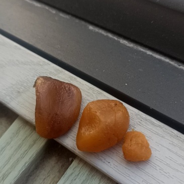 鸡宝