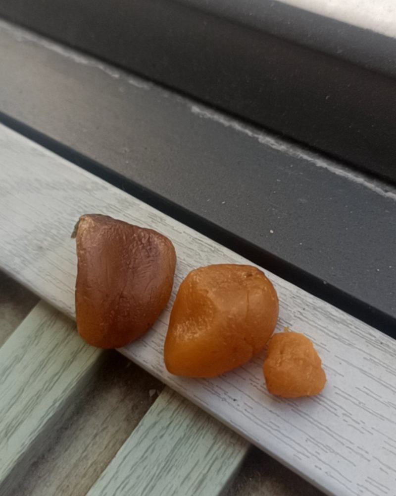 鸡宝