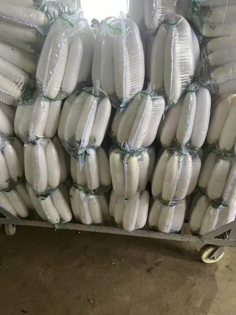 白萝卜萝卜货源充足保质保量欢迎订购