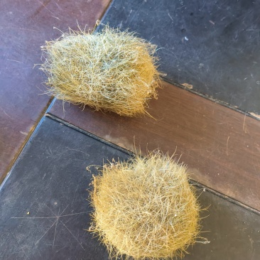 猪宝猪砂珍贵的中药材