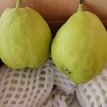 新疆库尔勒香梨大框5斤小箱