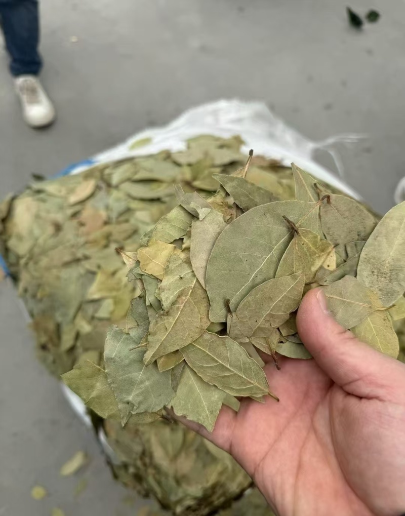 特绿，中绿，进口香叶，国产香叶