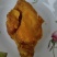 鸡宝