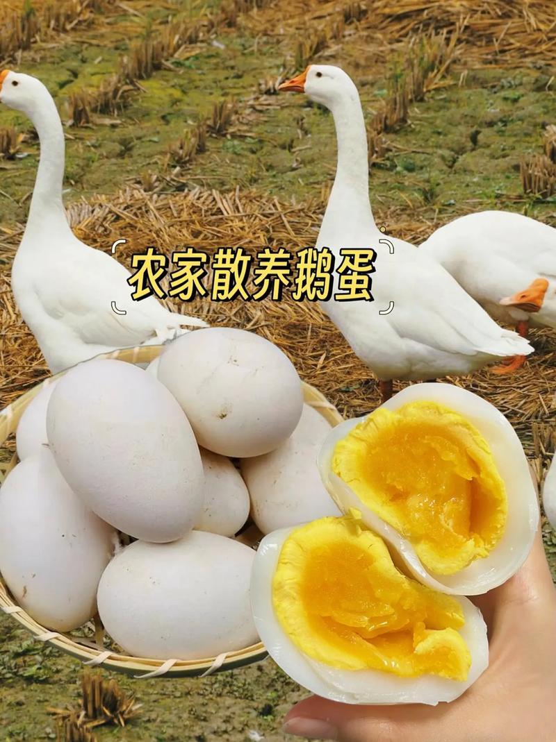 鹅蛋