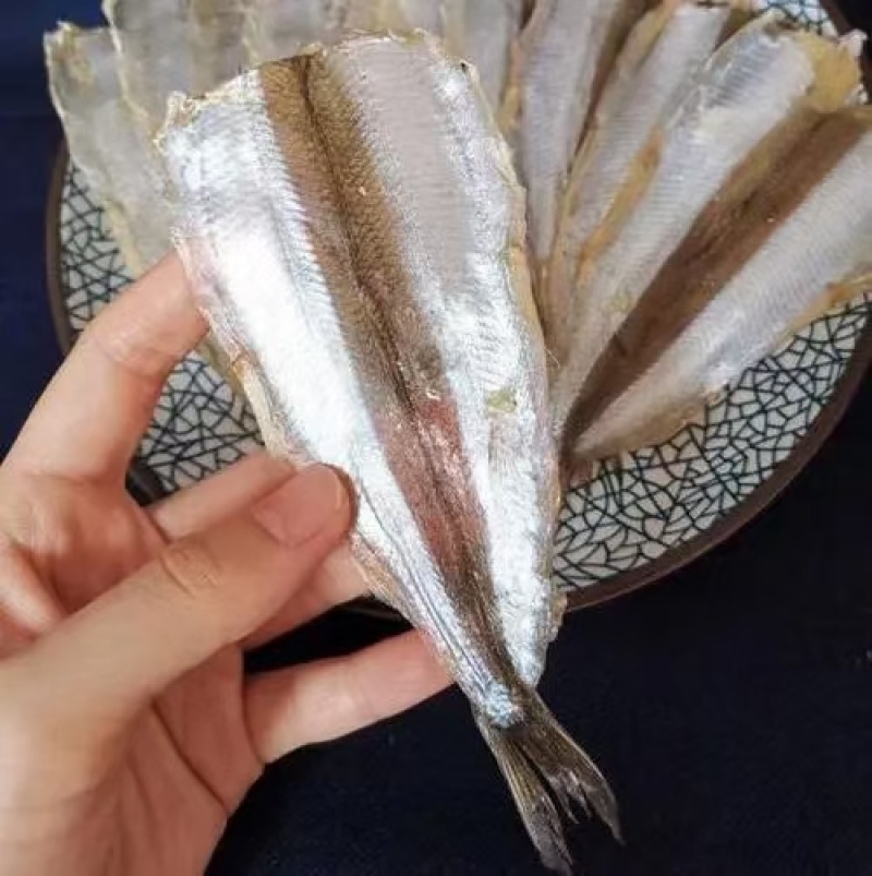马步鱼一手货源大量现货量大从优